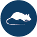 Pest Control-icon-blue